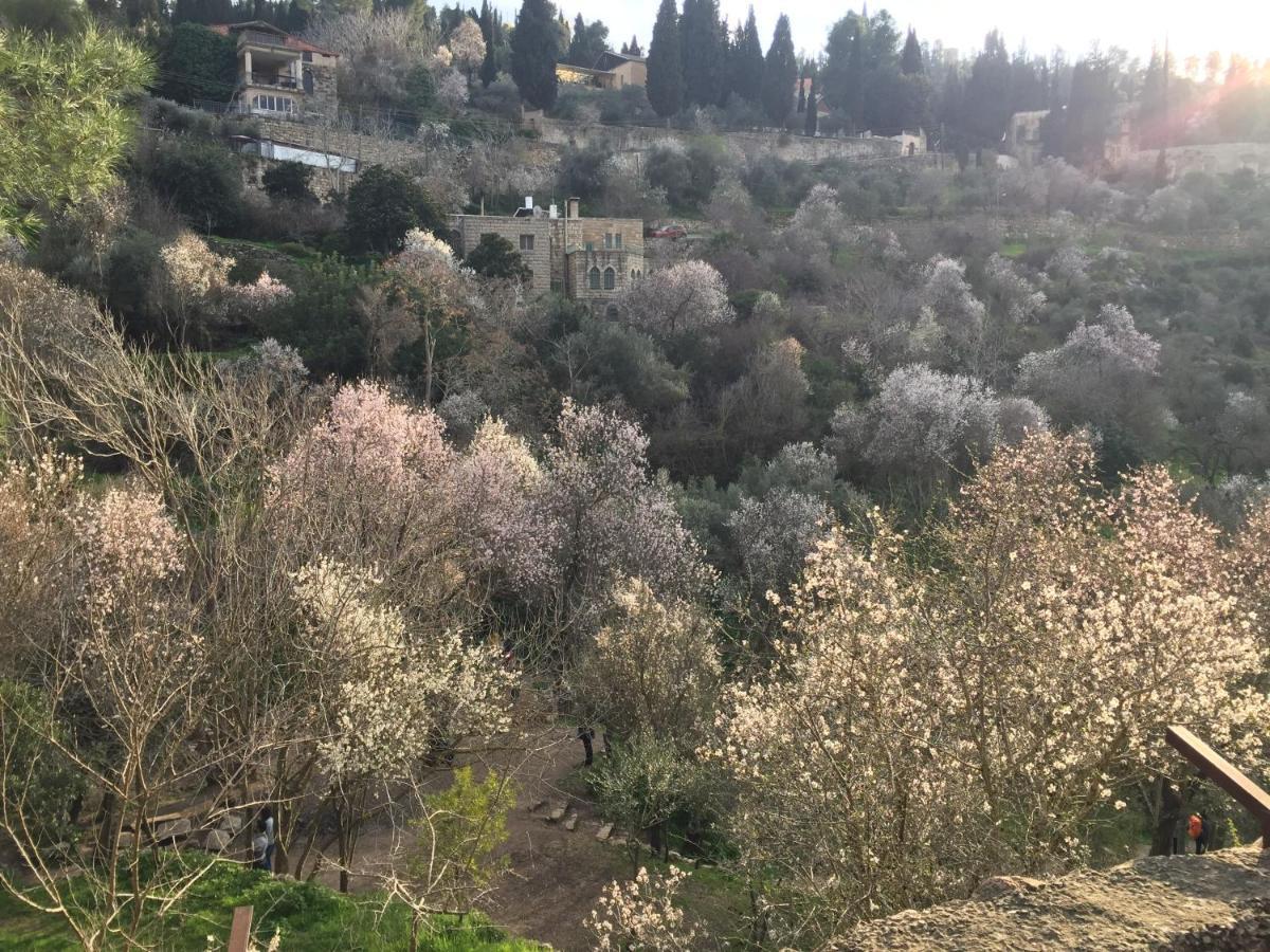 Sweet 'En Kerem View Bed and Breakfast Ιερουσαλήμ Εξωτερικό φωτογραφία